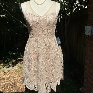 Adrianna Papell Dress Beige Poly Filigree